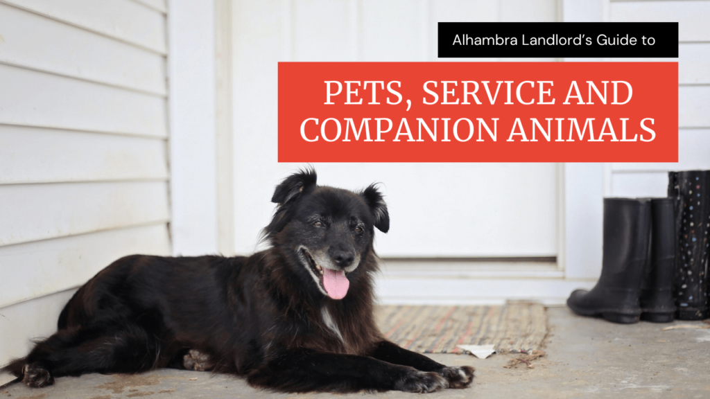 Alhambra Landlord’s Guide to Pets, Service and Companion Animals - Article Banner