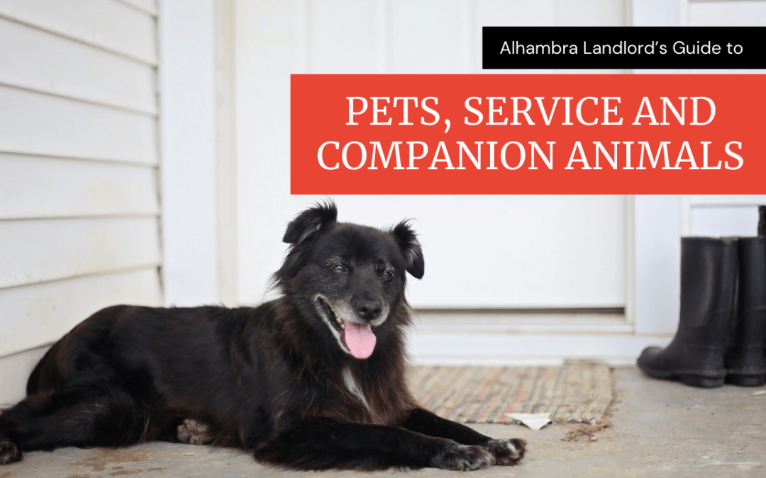 Alhambra Landlord’s Guide to Pets, Service and Companion Animals