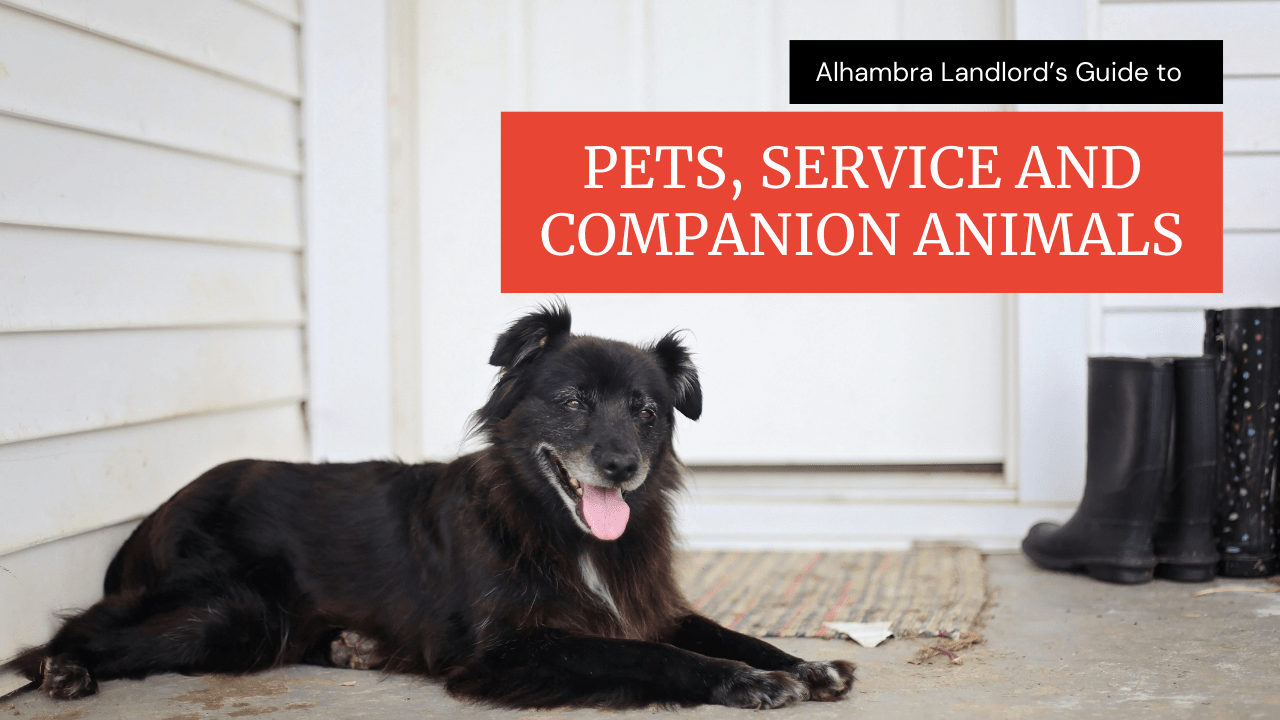 Alhambra Landlord’s Guide to Pets, Service and Companion Animals