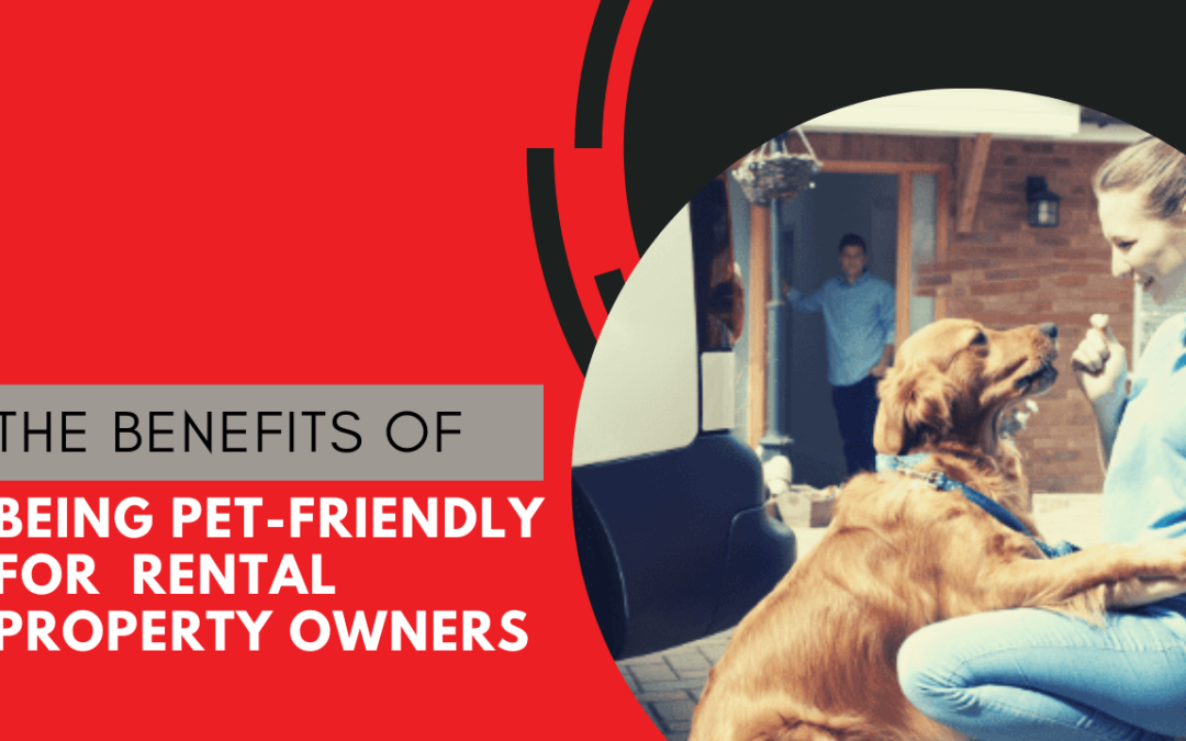 The Benefits of Being Pet-Friendly for Alhambra Rental Property Owners
