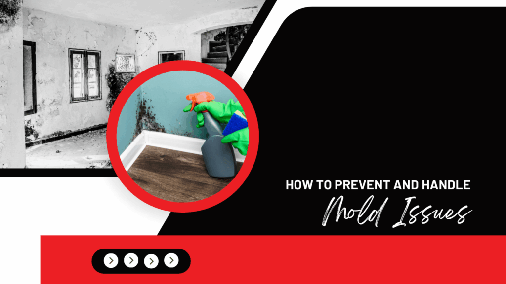 How to Prevent and Handle Mold Issues in Your San Gabriel Rental Home - Article Banner